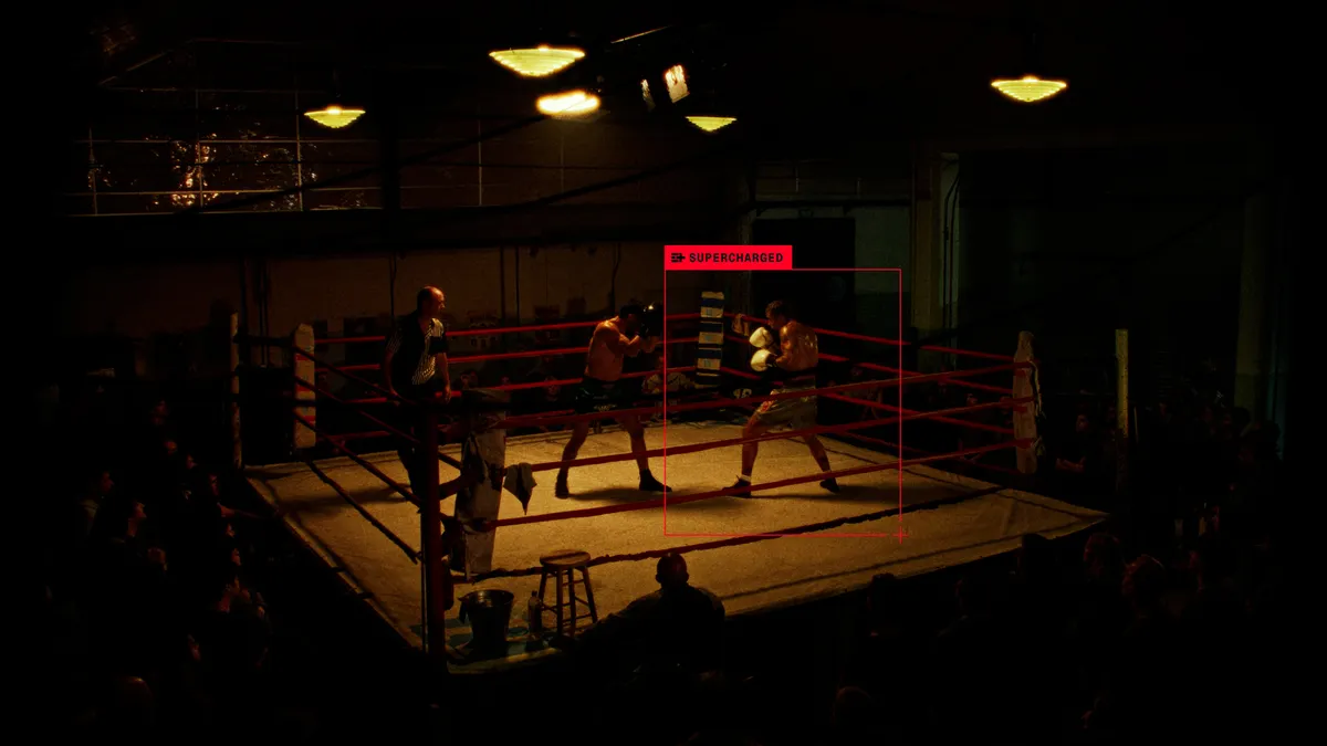 Boxers in a ring for Essentia