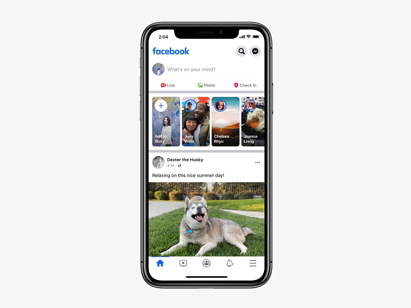 Facebook Feed options