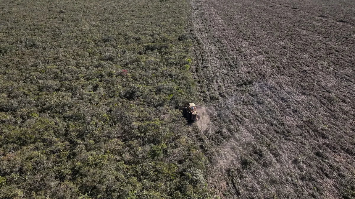 Machinery removes forestation across a wide plain.