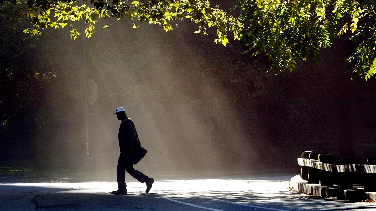 A person in a hat walks under sun streaming through tree leaves.