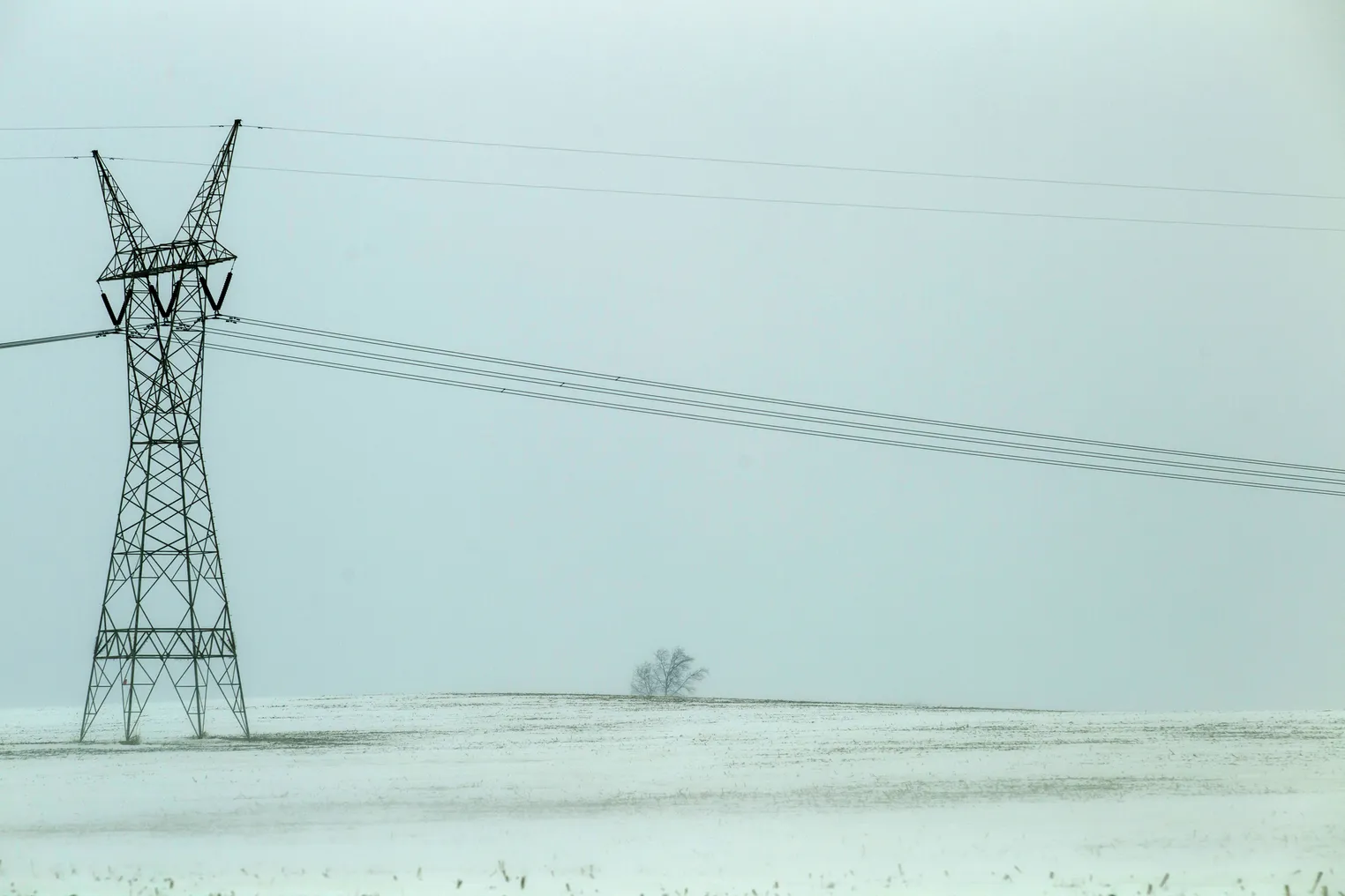 High voltage power lines stand as dark skeletal monoliths against a stark sky filled with snow and the ground covered in snow.