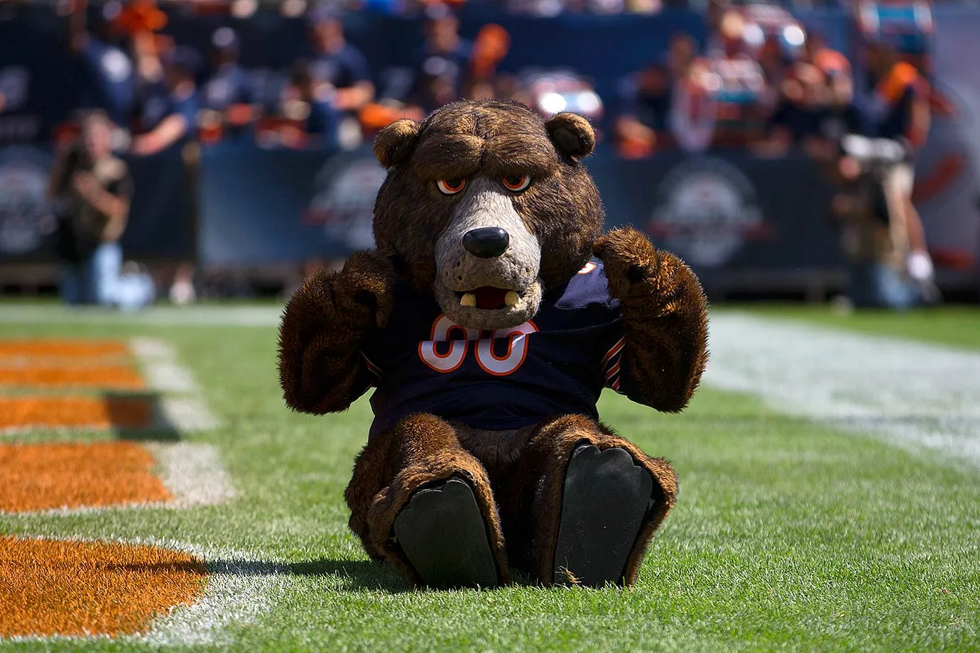 A photo of the Chicago Bears mascot costume made by The Mascot Company.