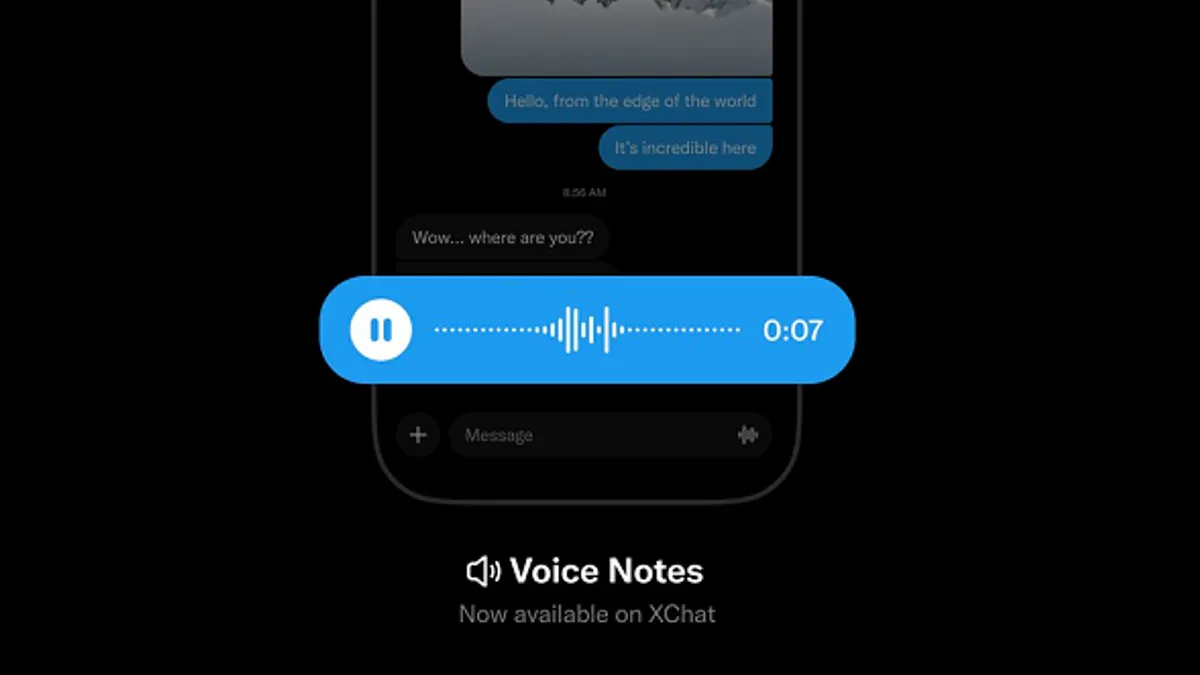 X voice notes