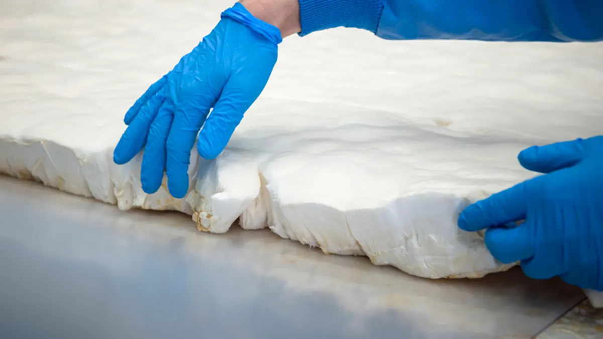 A scientist adjusts mushroom mycelium