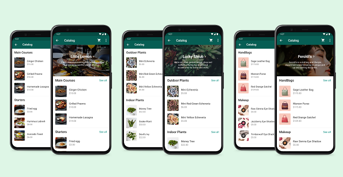 WhatsApp catalog collections