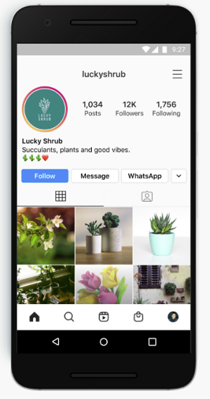 Instagram WhatsApp messaging