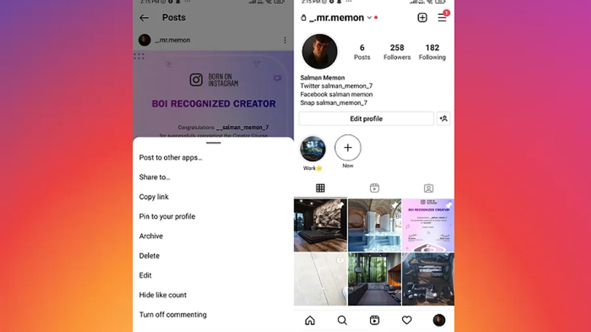 Instagram pinned posts