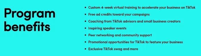 TikTok Black business month