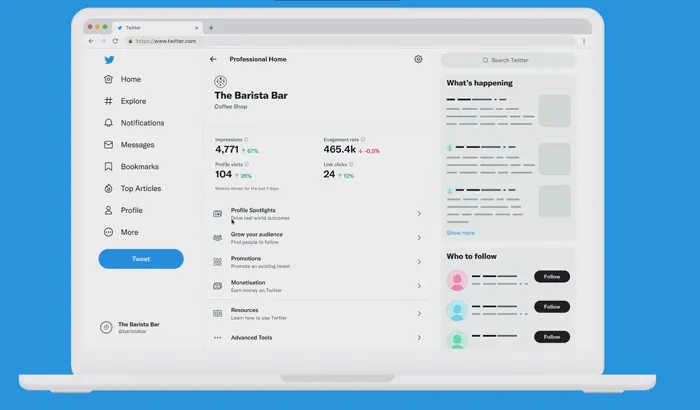 Twitter Professional Account dashboard