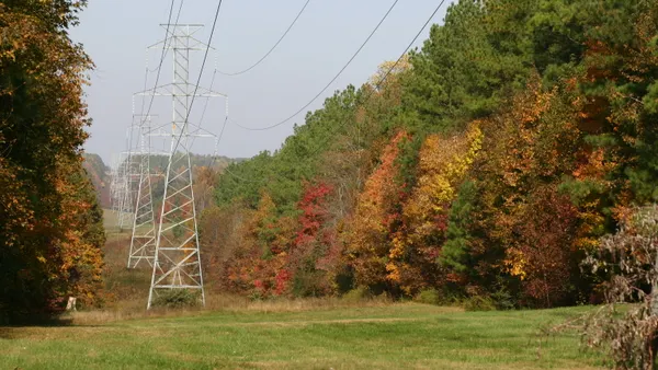 Electric transmission lines run through woods in the fall.