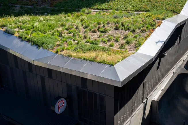 How US cities are investing in green infrastructure | Smart Cities Dive