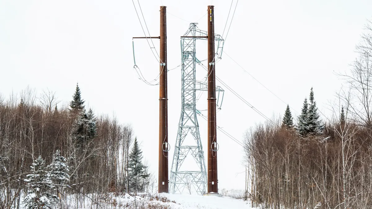 A transmission line runs through snowy woods.
