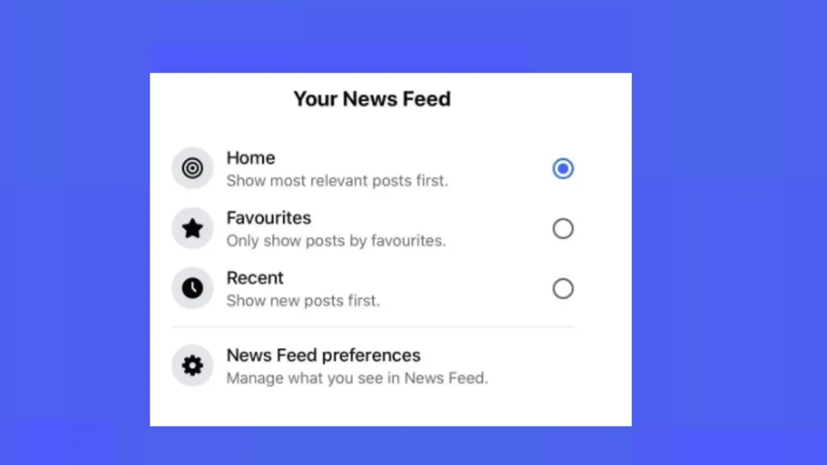 Facebook News Feed Options