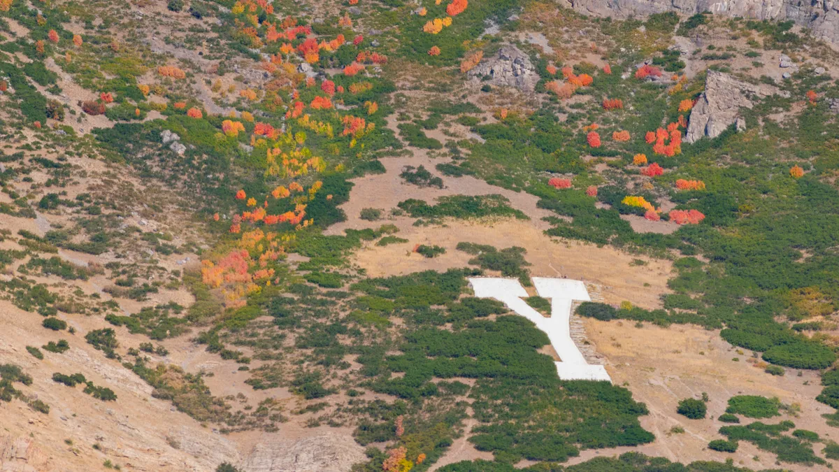 Changing Trees on Y Mountain East of Provo Utah