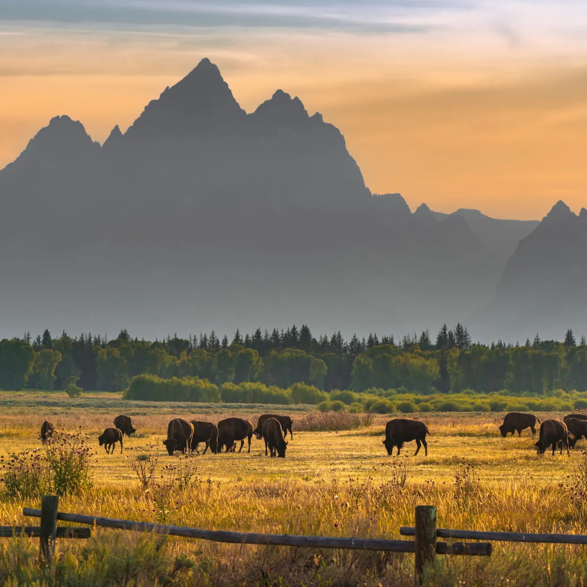 Wyoming has big plans for stablecoin | Payments Dive