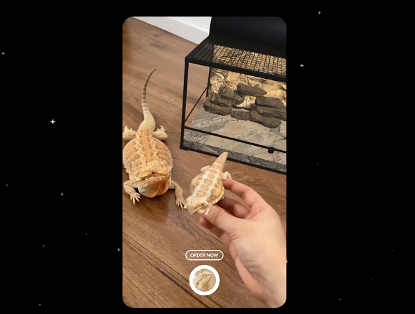 Snapchat AR CTA