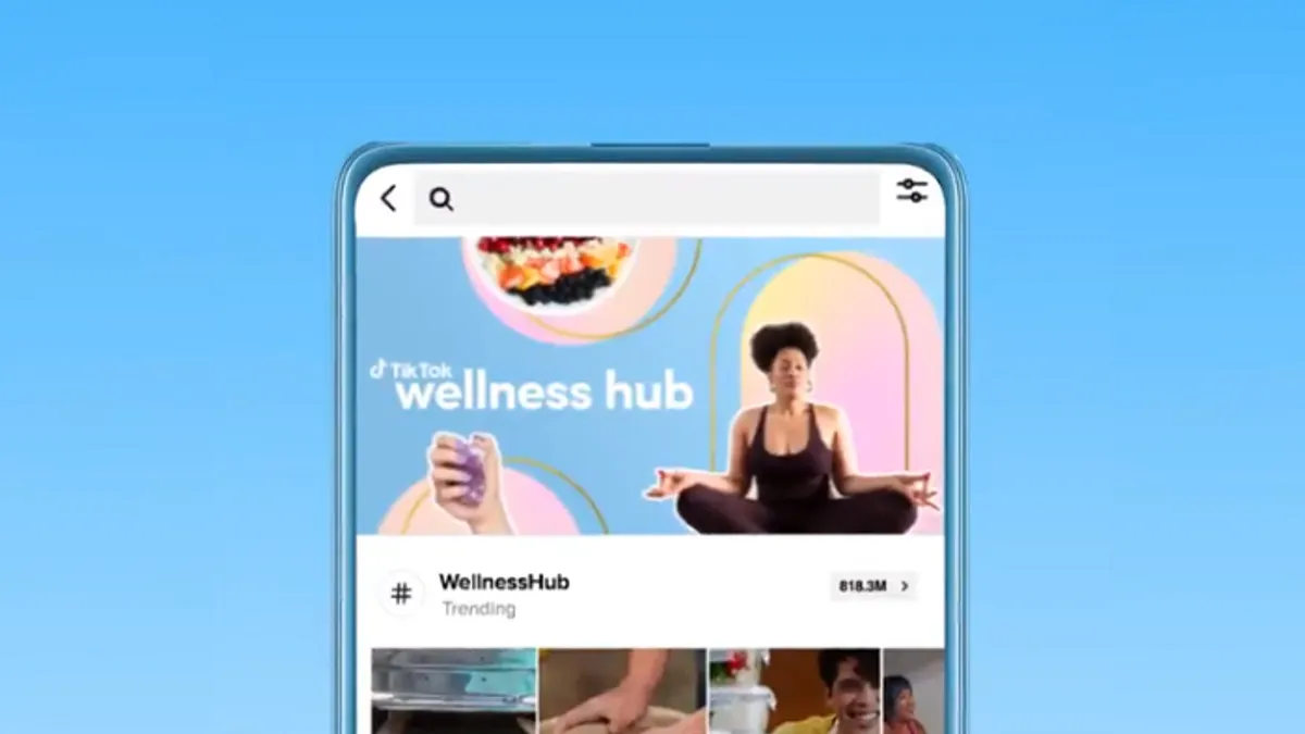 TikTok Wellness Hub