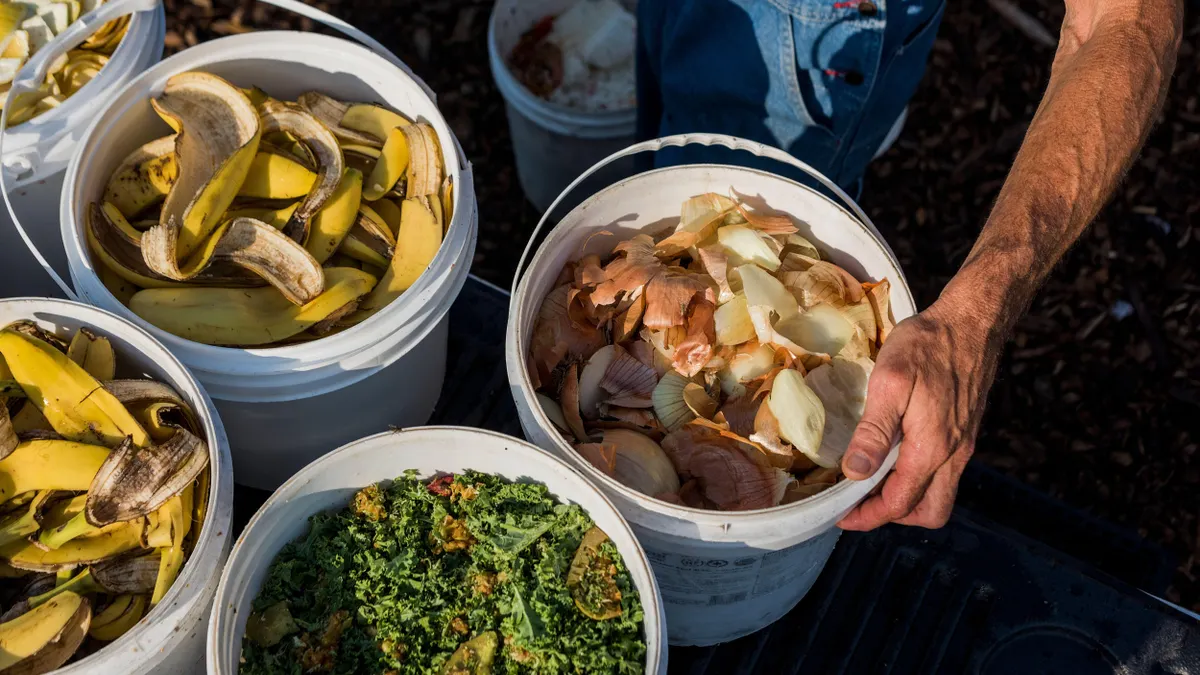 Various buckets filled with food scraps like banana peels, onion skins, and kale being repurposed for chicken feed.