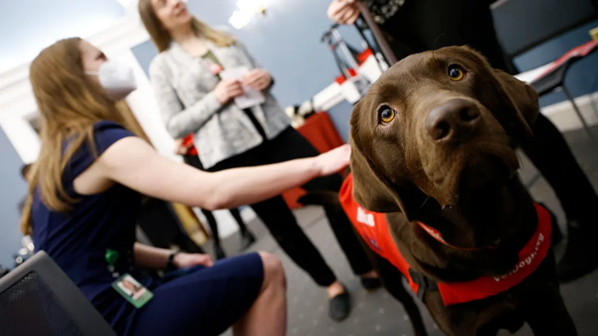 dog looks at camera with staffers in background
