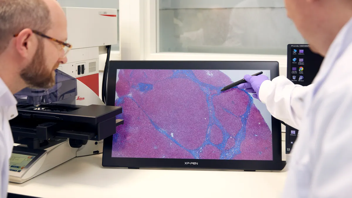 Two scientists look at a sample of clinical diseased tissue on a laptop screen.