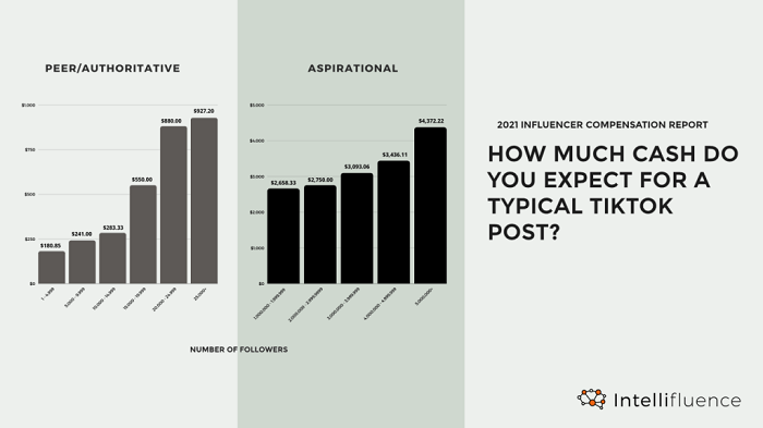 Intellifluence influencer marketing costs report