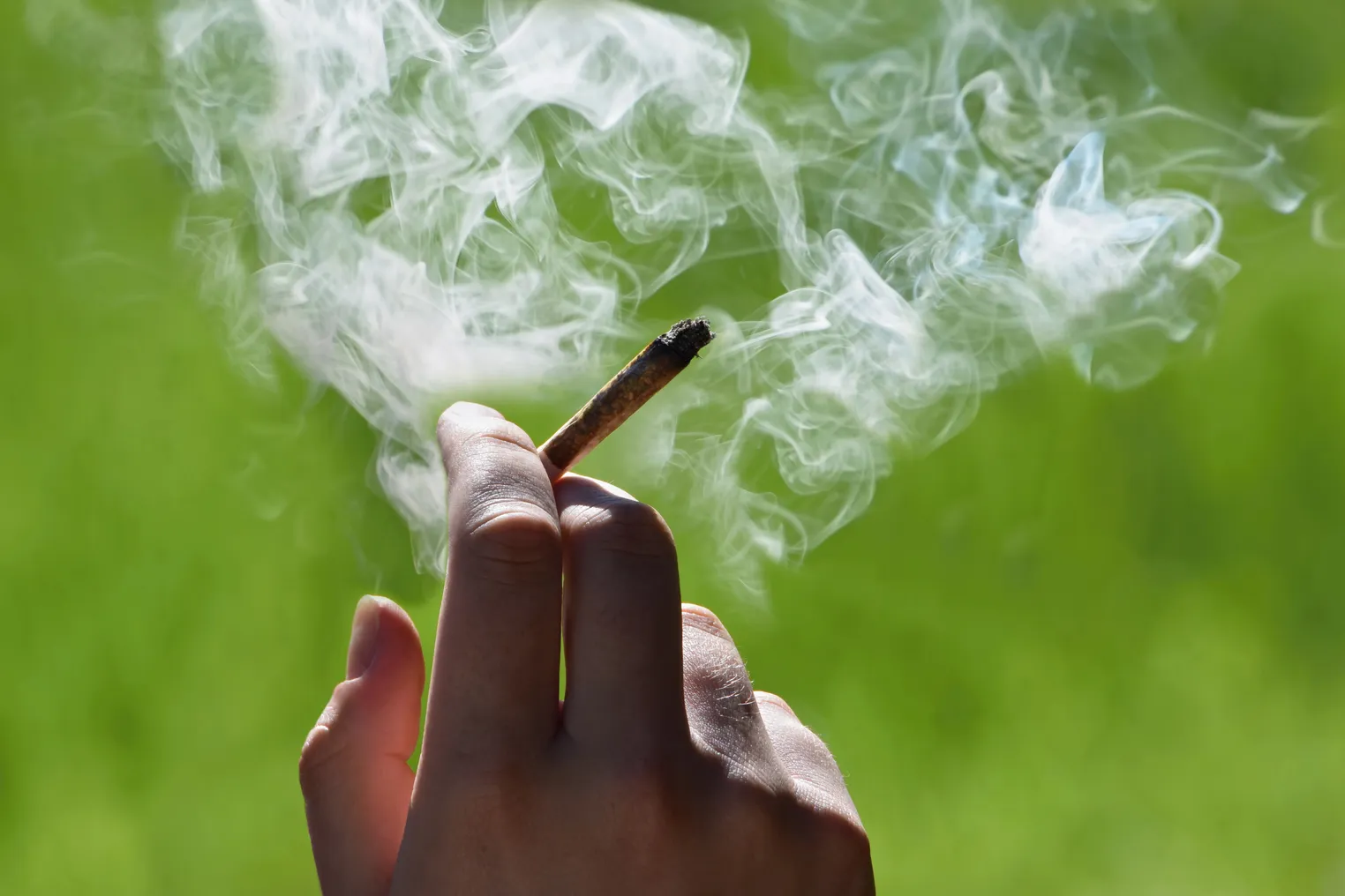 A person holds a smoking joint.