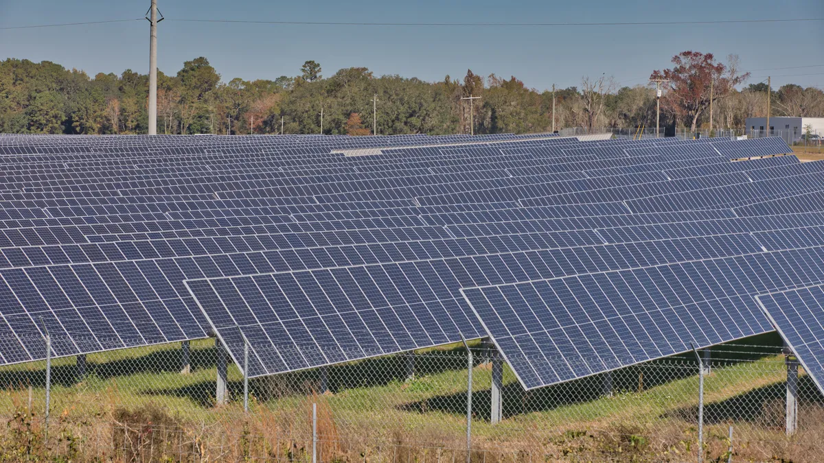 A field of solar panels off of the roadside in Florida.