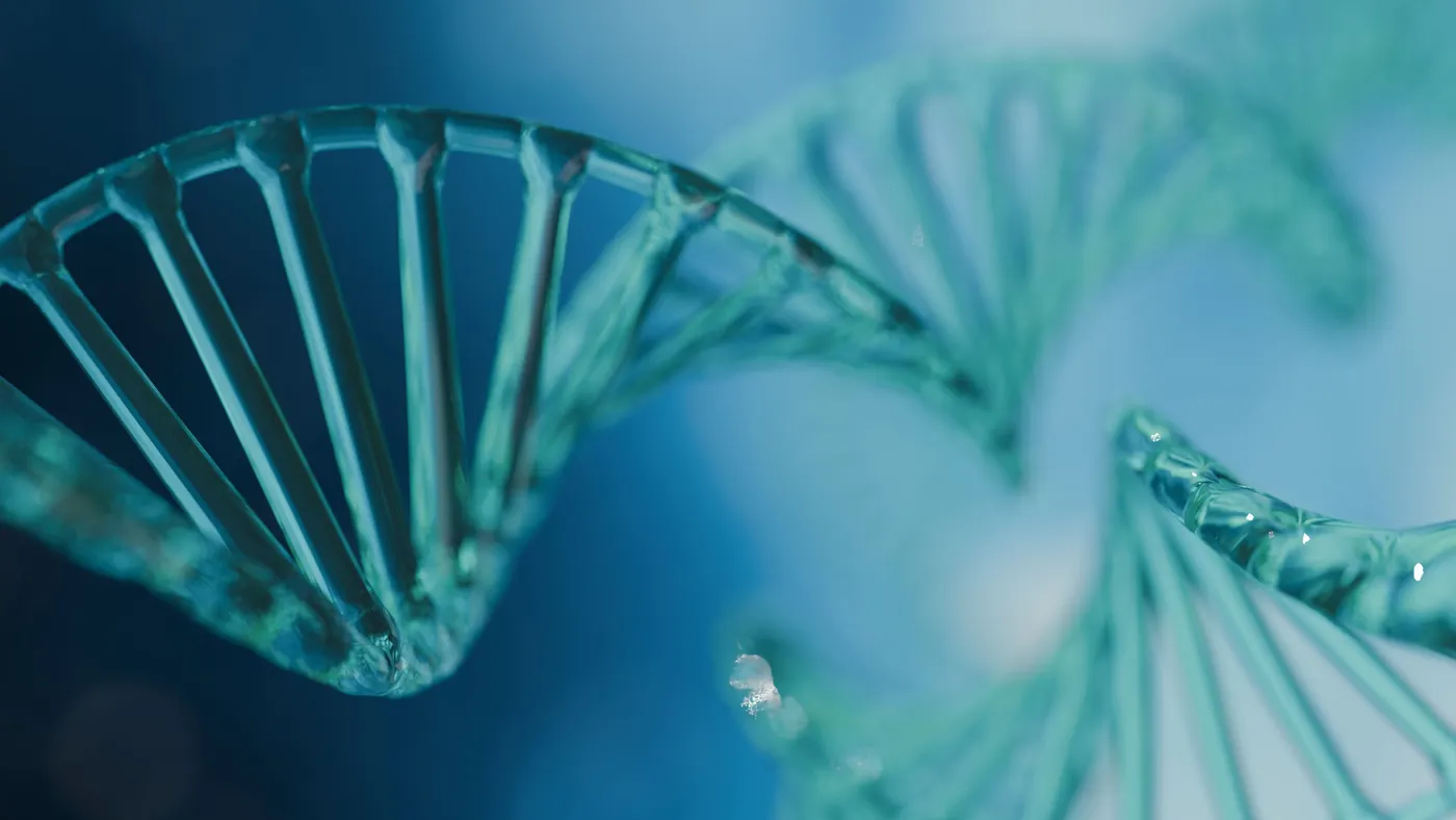 Clean translucent DNA model image