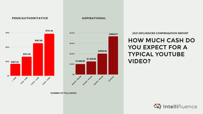 Intellifluence influencer marketing costs report