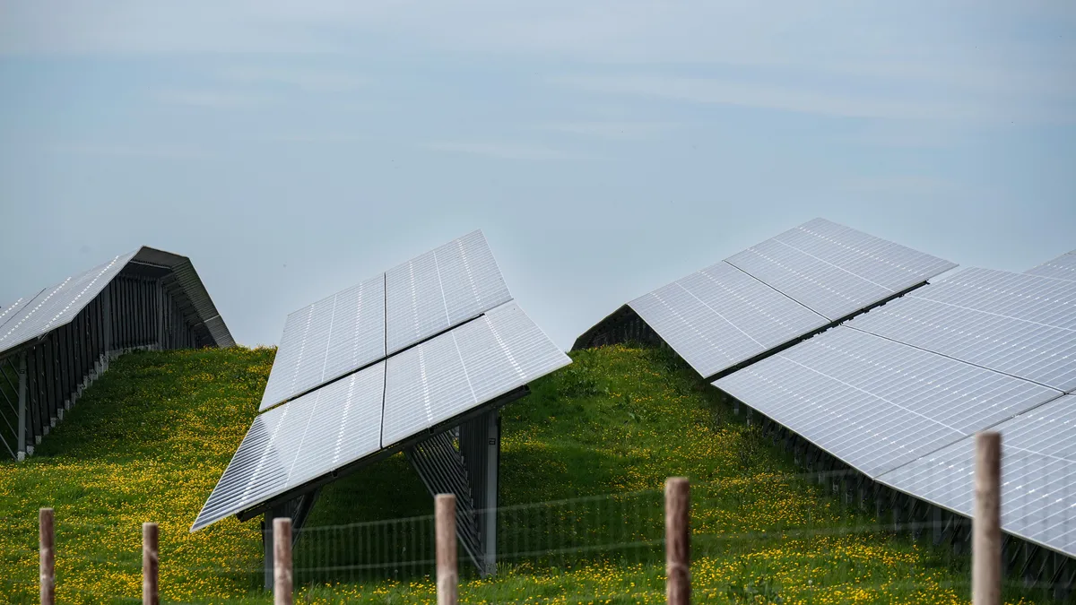 An array of solar panels create electricity at the Lightsource bp solar farm near the Anglesey village of Rhosgoch, on May 10, 2024 in Wales.