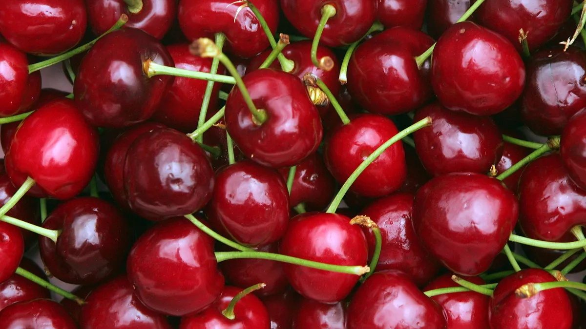 A close-up picture of a box of cherries.