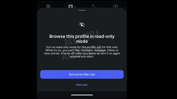 Instagram read only mode