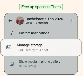WhatsApp file manager