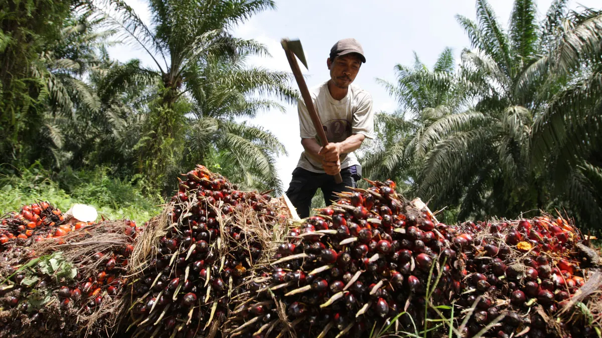 palm oil deforestation