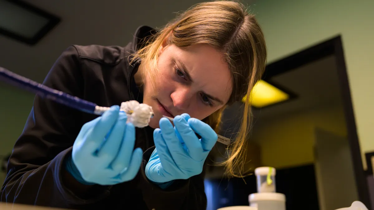 Capstan employee Evelyn Haynes is wearing blue gloves while working on the company's heart valve device.