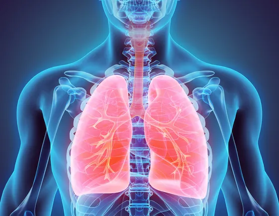Former CinCor Execs Launch AllRock Bio with $50M to Revolutionize Pulmonary Hypertension Treatment