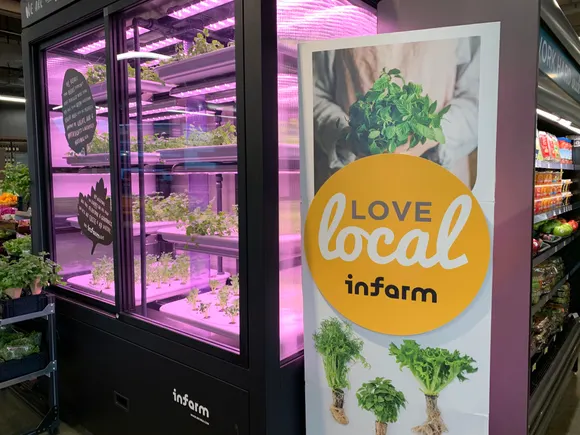 Ica In Store Farm For in-store farms to succeed, finding the right balance is key ...