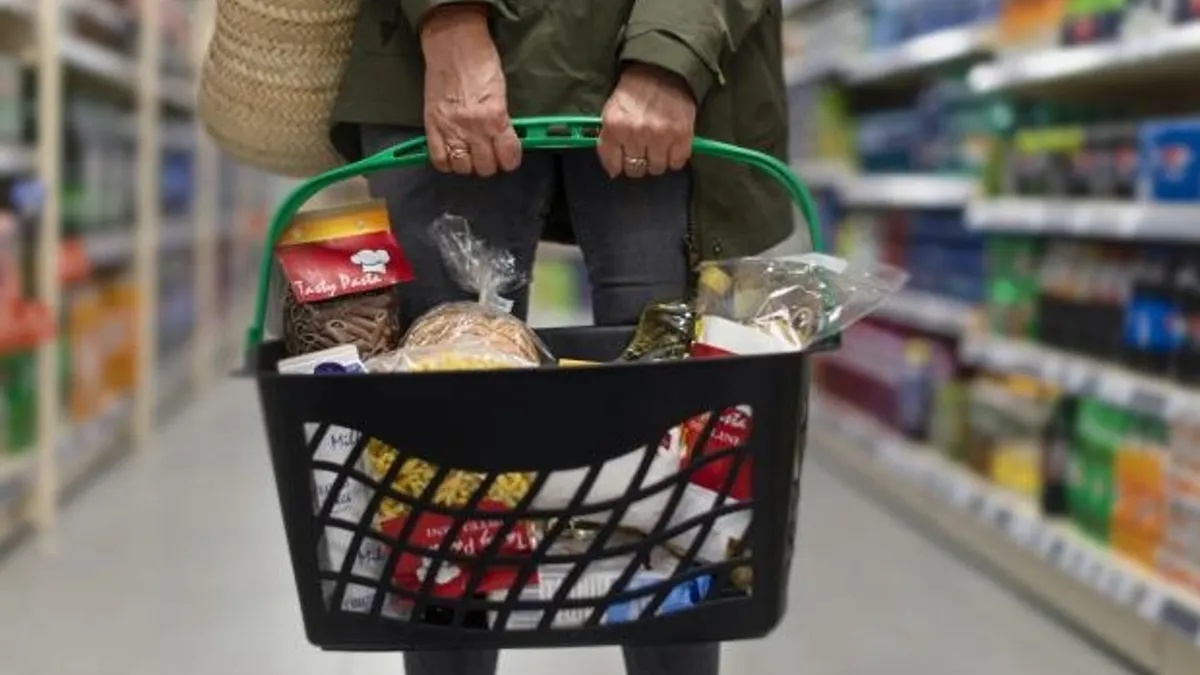 Person carrying a basket of groceries at the grocery store