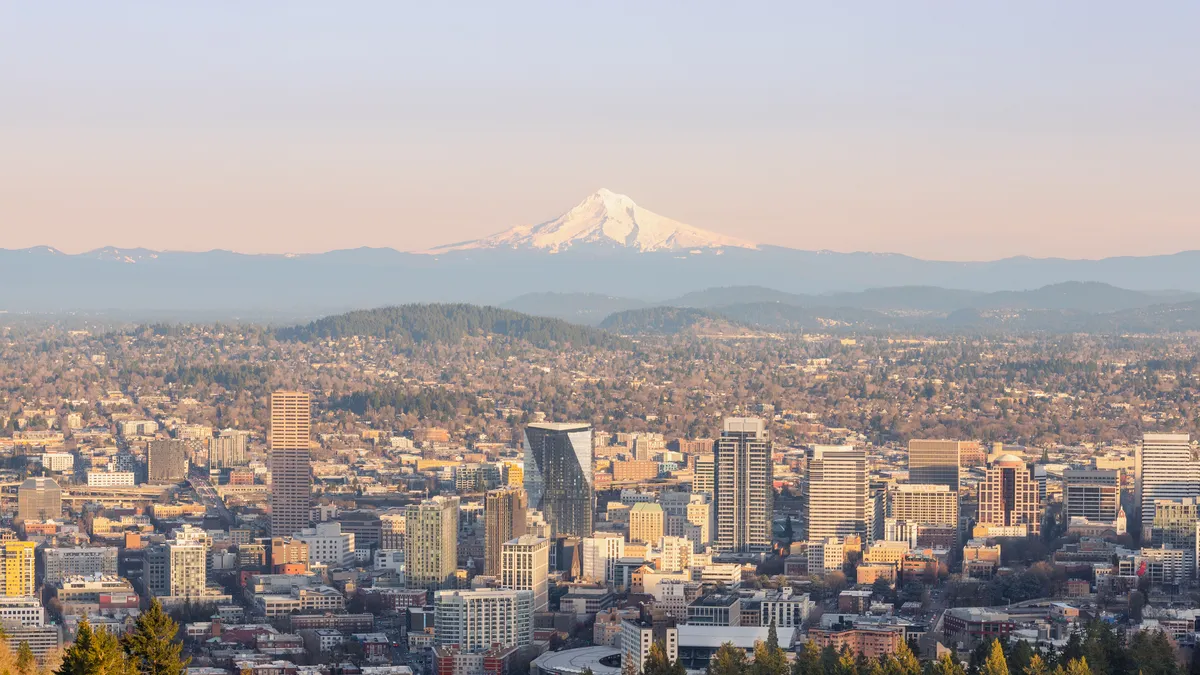 A cityscape in front of a snow-capped mountain.