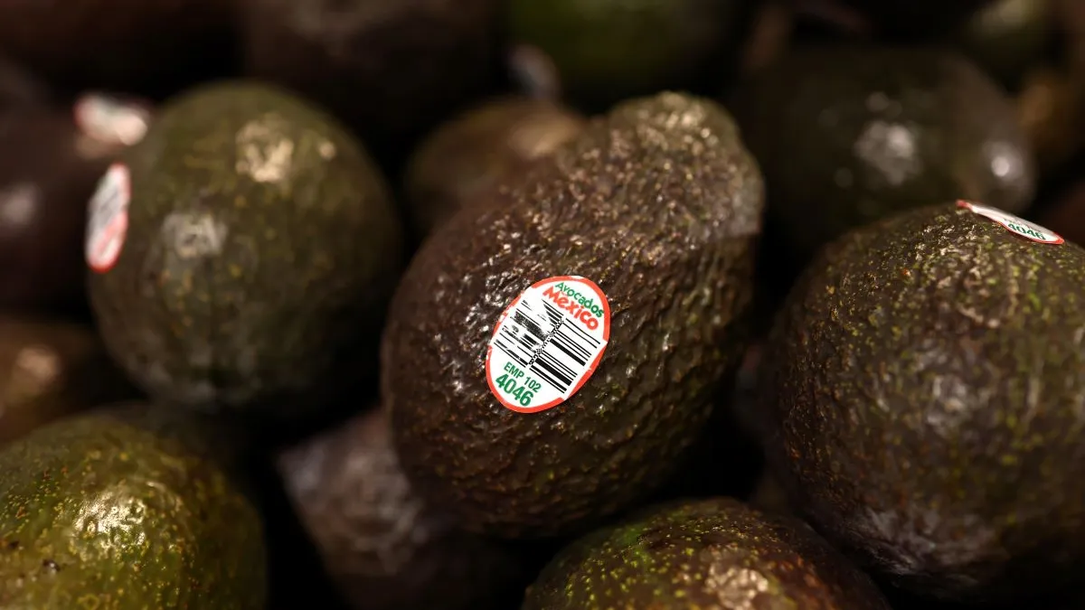 A close up image of a clump of avocadoes with stickers that say "avocados Mexico."