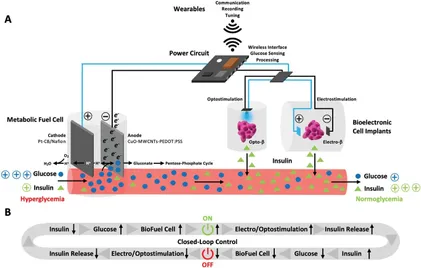 Schematic of the non-enzymatic metabolic fuel cell for closed-loop control of blood-glucose homeostasis. A) Operation of the metabolic fuel cell.