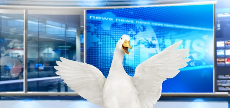 What the Aflac Duck can teach marketers about taking creative risks ...
