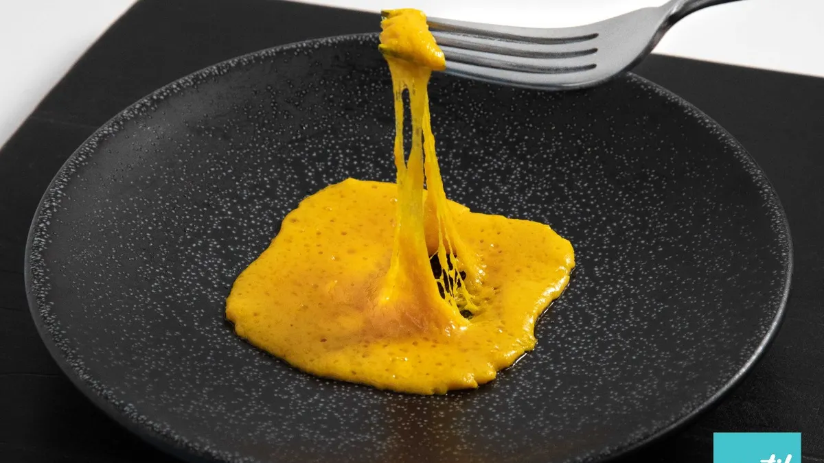 Motif Foodworks has exclusive use of a prolamin technology to make plant-based cheese perform more like dairy cheese. It is being licensed from the University of Guelph.
