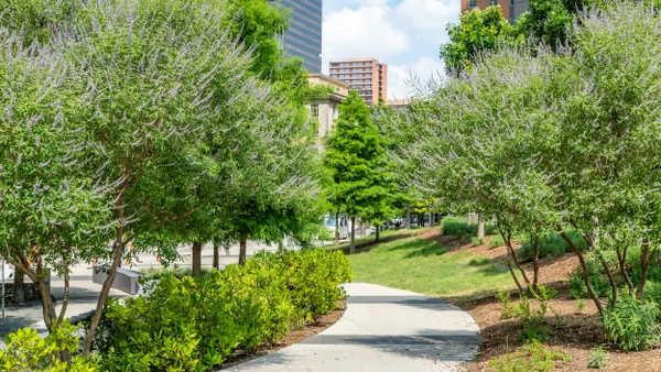 A footpath lined with trees and bushes with tall buildings in the background.