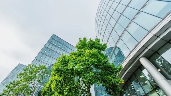 A view of business towers with a green, lush tree in front.