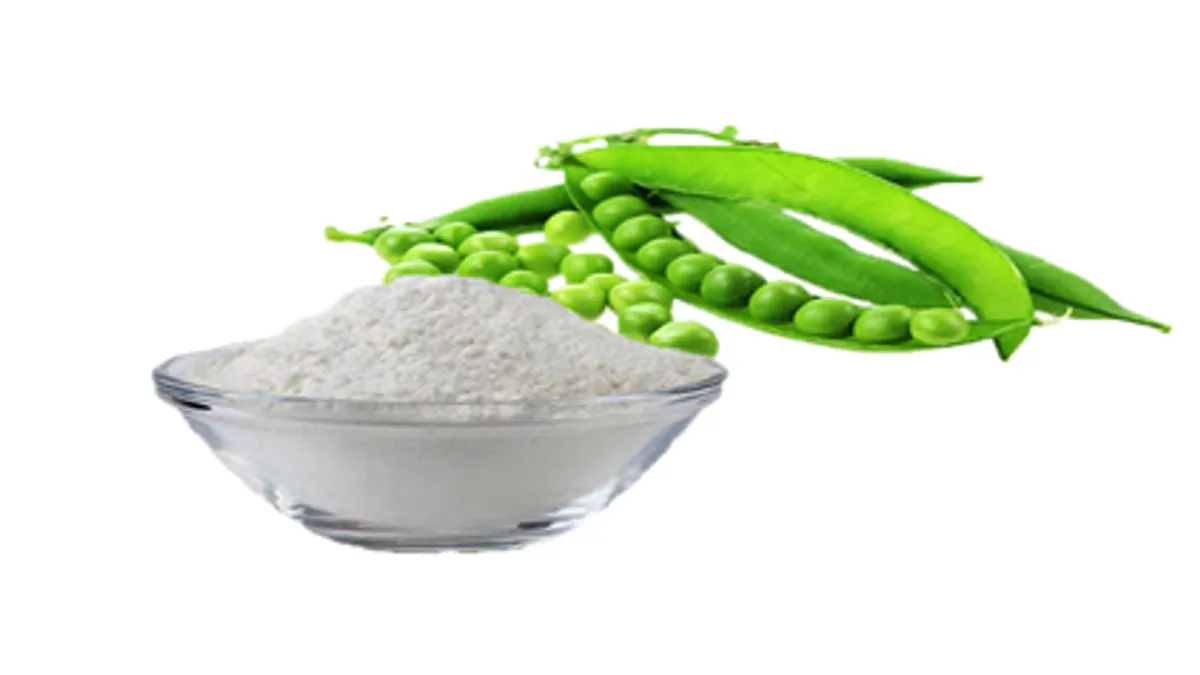 Pea fiber market