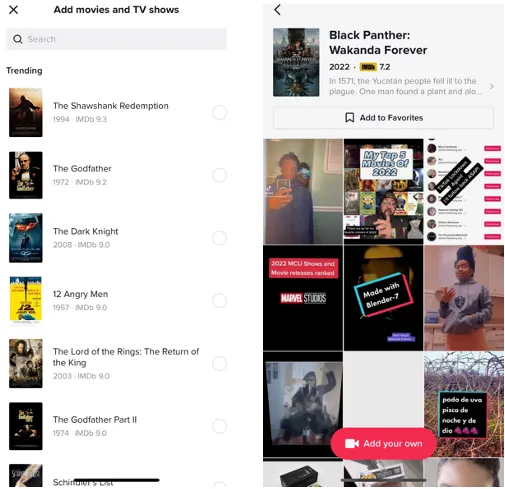 TikTok movie tags