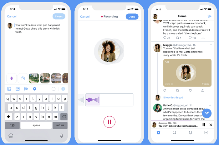 Twitter audio tweets