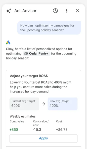 Google Ads Advisor