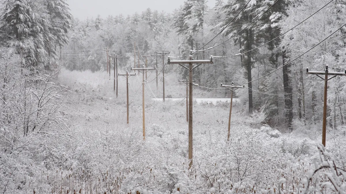 Power lines cut through woods winter snow.